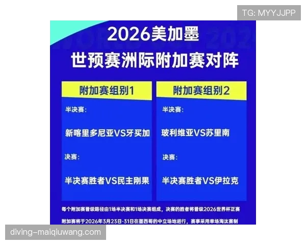 奥地利队冲击2026美加墨世界杯：晋级前景与阵容展望